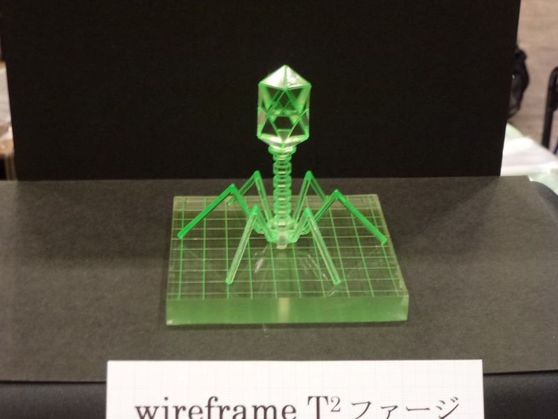 WF2013S_229.JPG